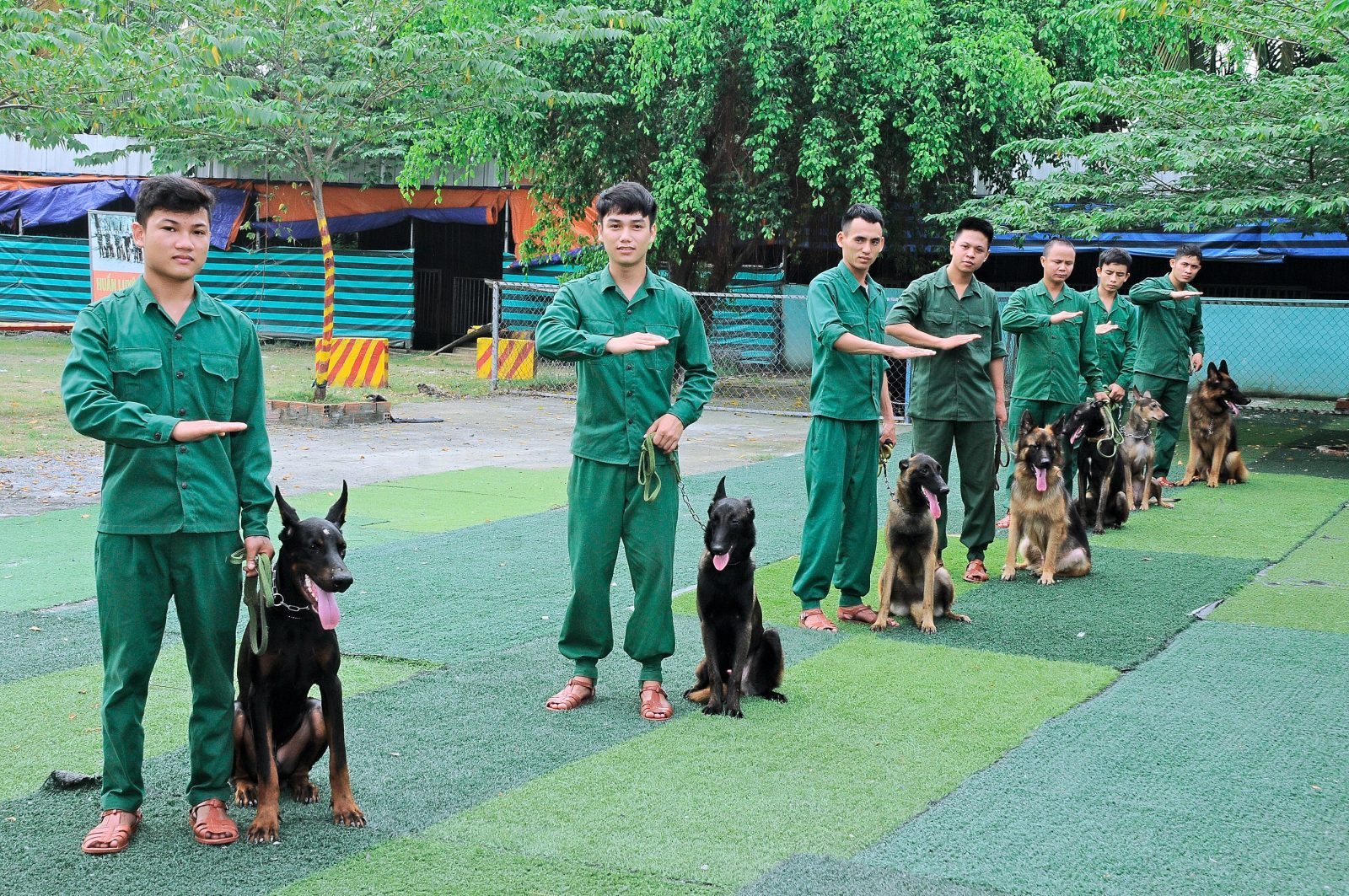 Trường huấn luyện chó cảnh khuyển Thành Tài TPHCM (chuẩn ...