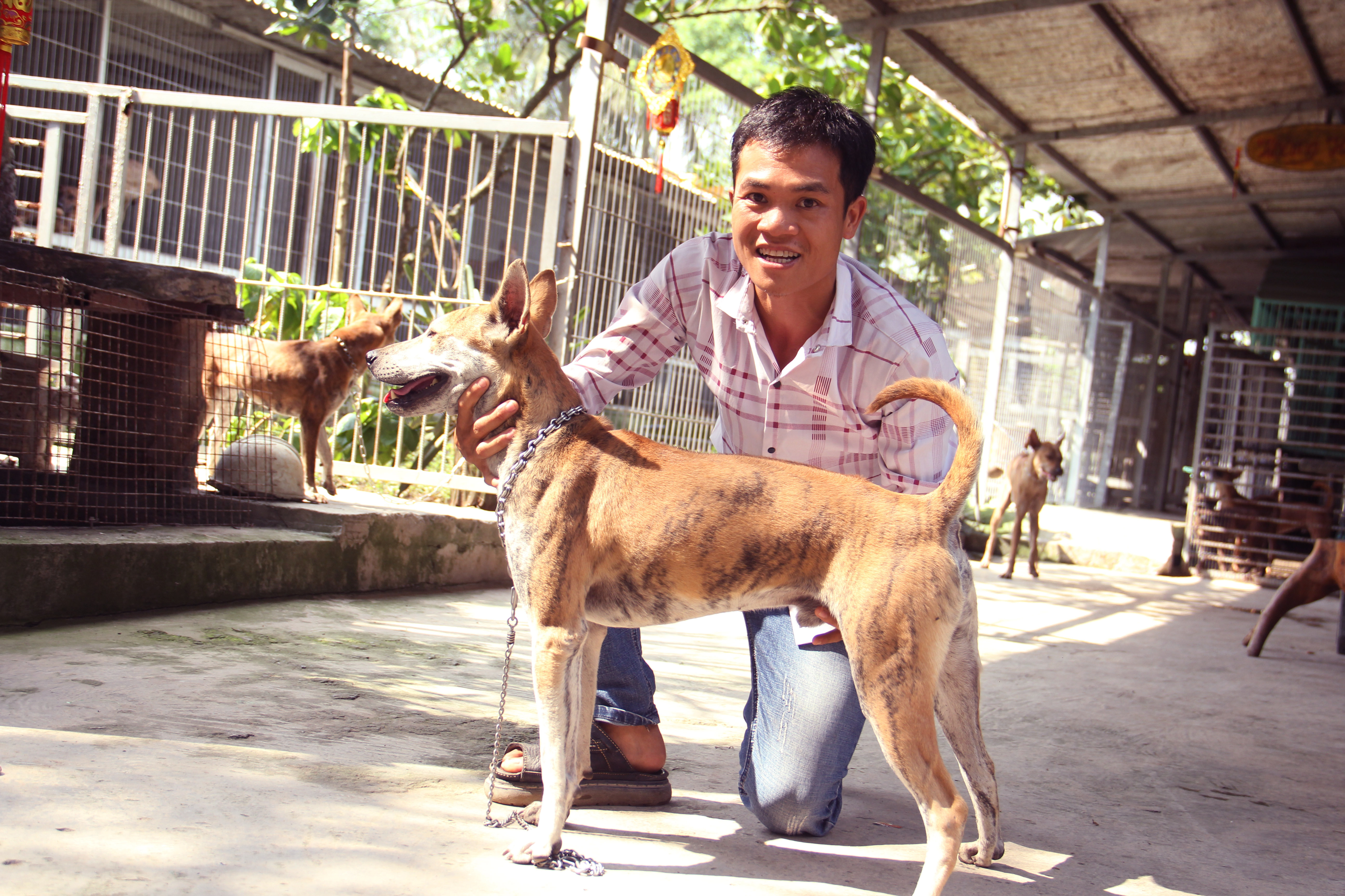 Những người huấn luyện chó cưng ở Sài Gòn và những điều chưa ...